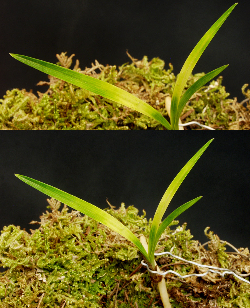 ������ ū������ �� �� �ֽ��ϴ�.