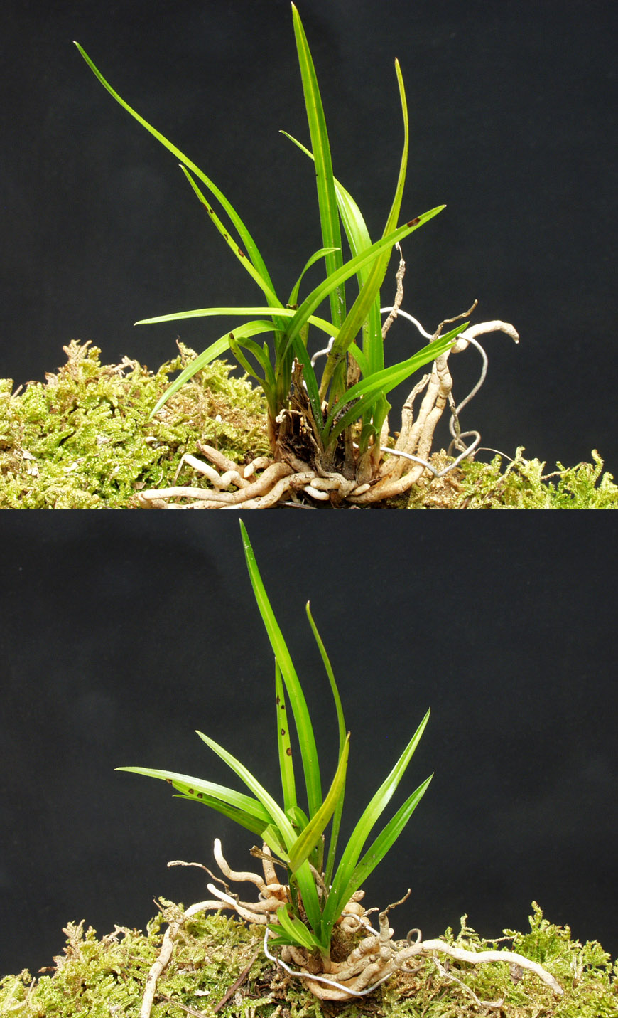 ������ ū������ �� �� �ֽ��ϴ�.