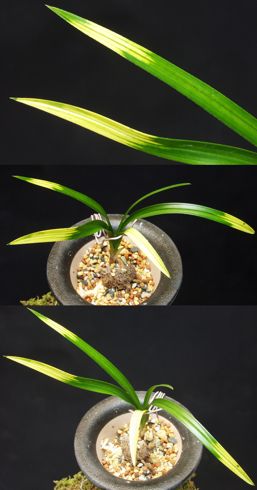 ������ ū������ �� �� �ֽ��ϴ�.