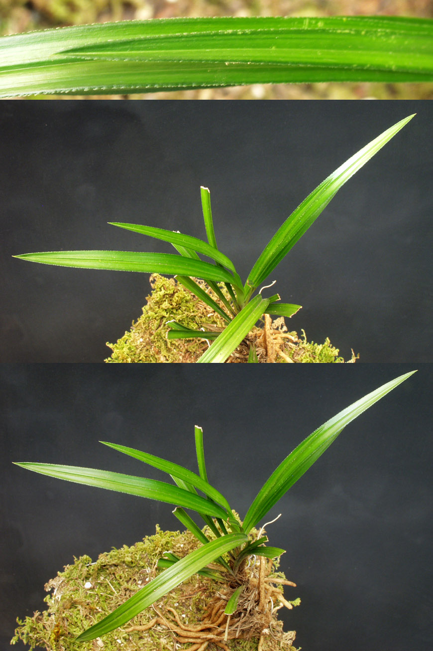 ������ ū������ �� �� �ֽ��ϴ�.