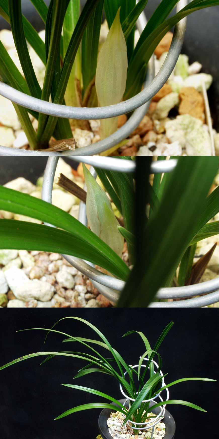 ������ ū������ �� �� �ֽ��ϴ�.