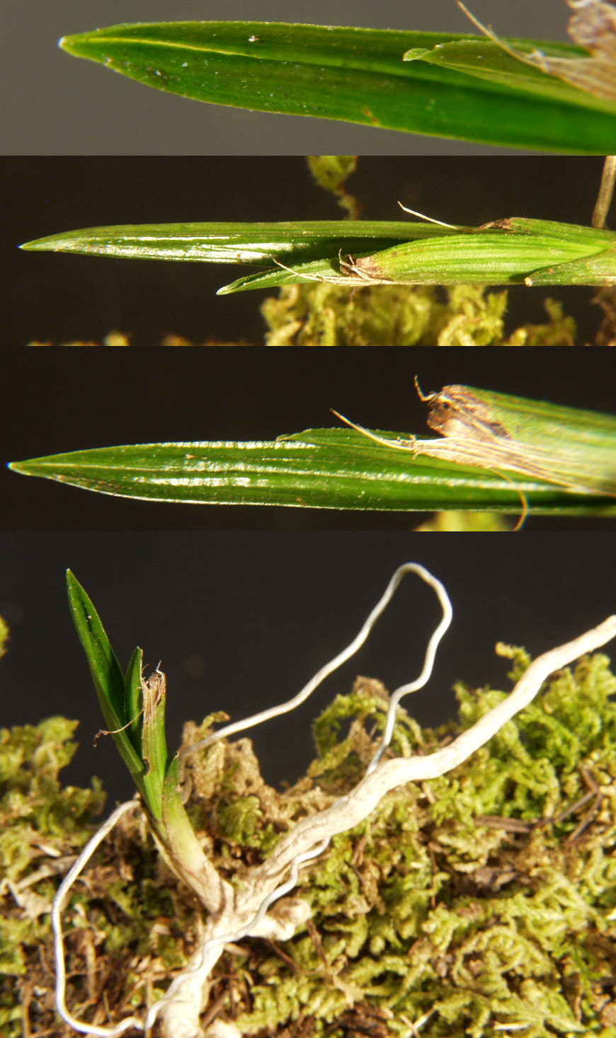 ������ ū������ �� �� �ֽ��ϴ�.