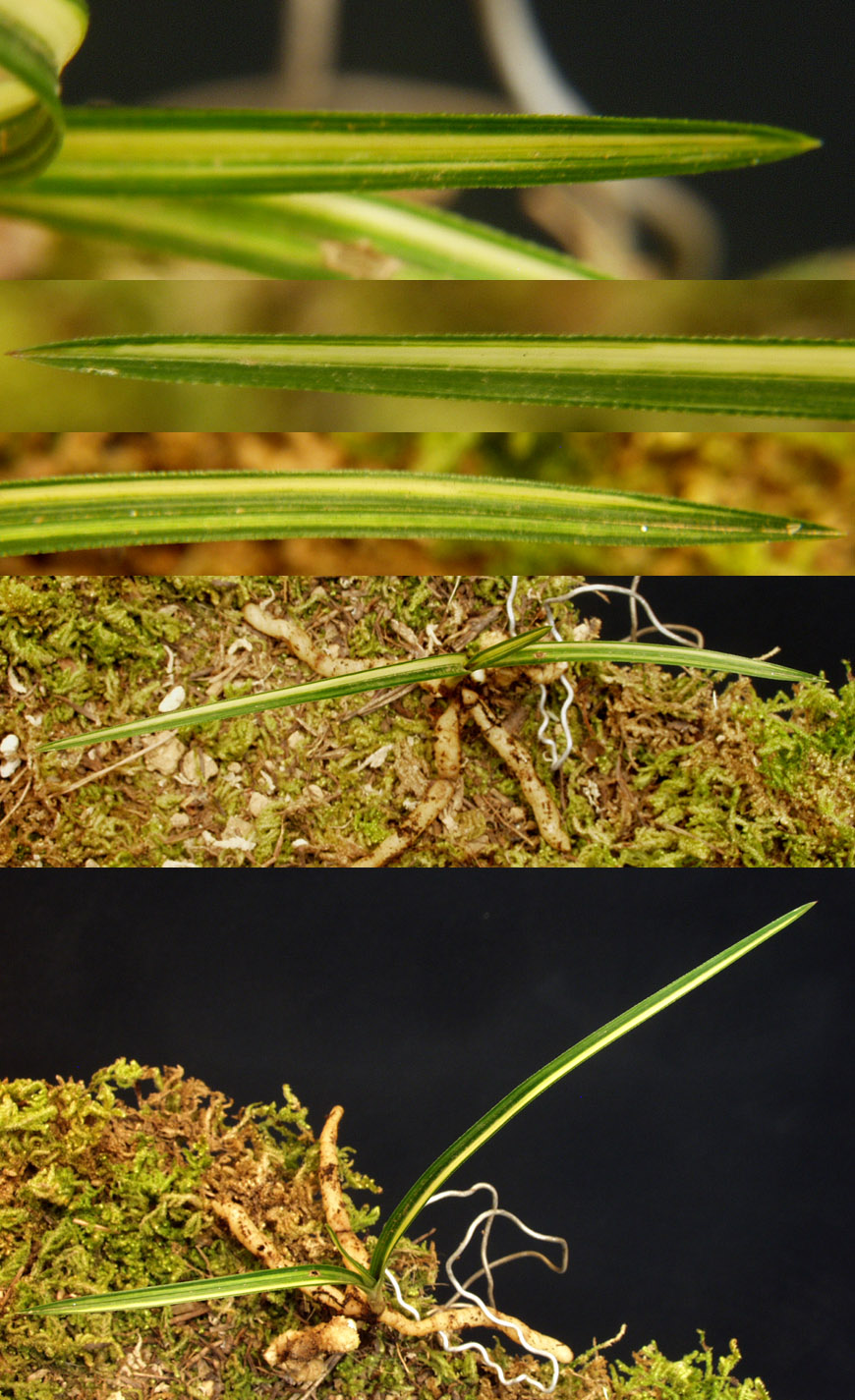 ������ ū������ �� �� �ֽ��ϴ�.