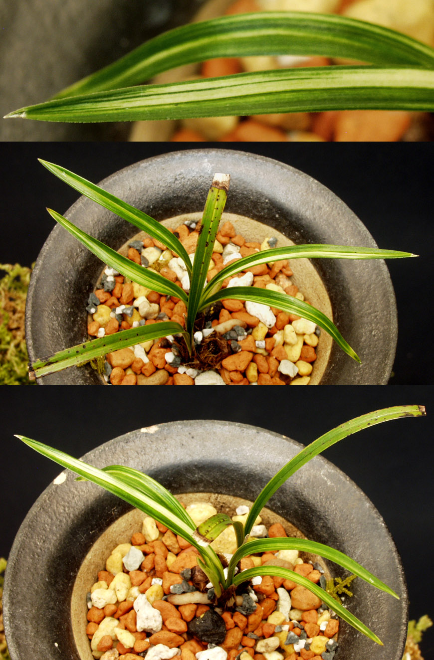 ������ ū������ �� �� �ֽ��ϴ�.