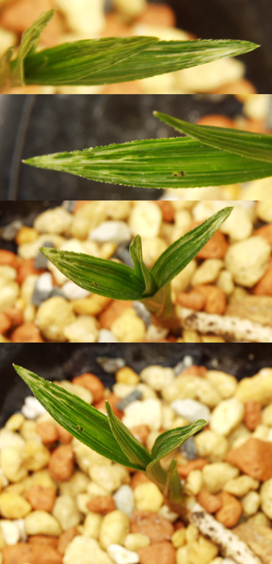 ������ ū������ �� �� �ֽ��ϴ�.