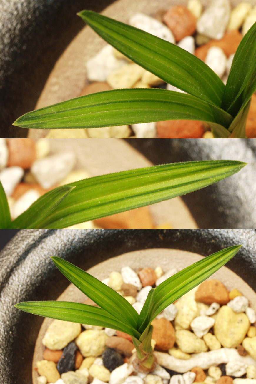 ������ ū������ �� �� �ֽ��ϴ�.