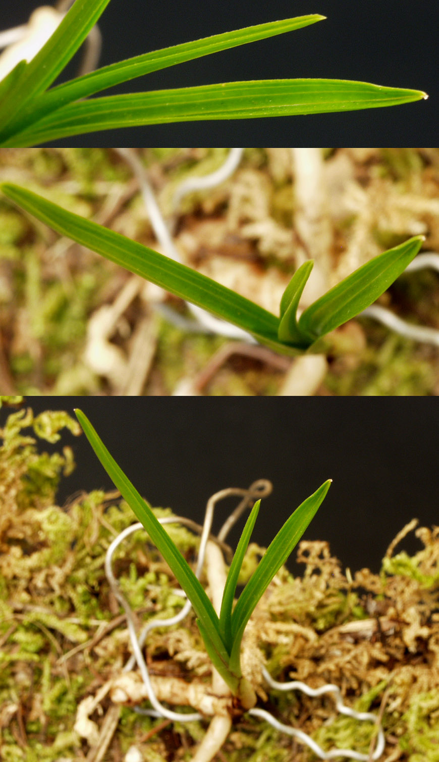 ������ ū������ �� �� �ֽ��ϴ�.