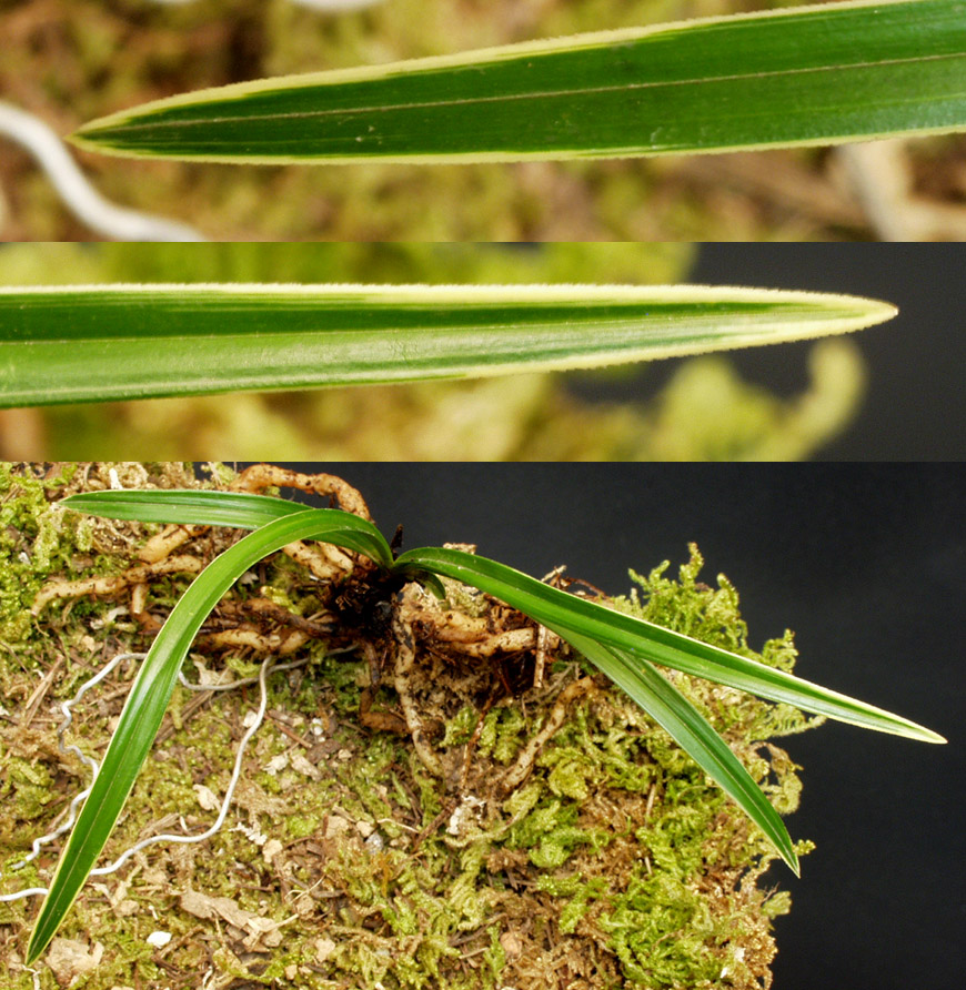 ������ ū������ �� �� �ֽ��ϴ�.