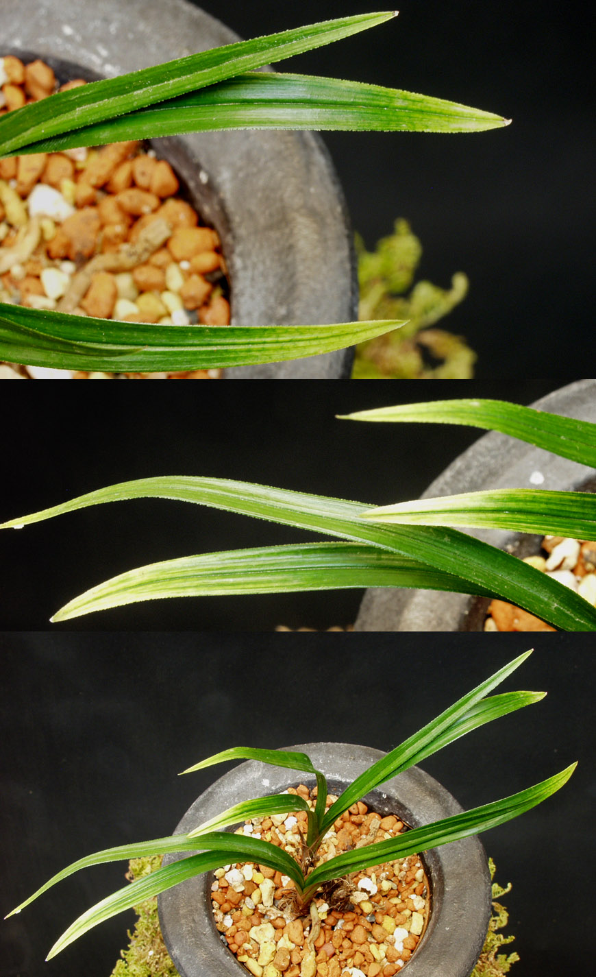 ������ ū������ �� �� �ֽ��ϴ�.