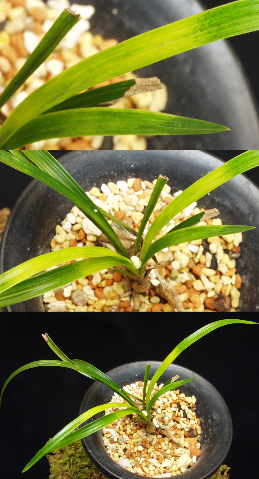 ������ ū������ �� �� �ֽ��ϴ�.