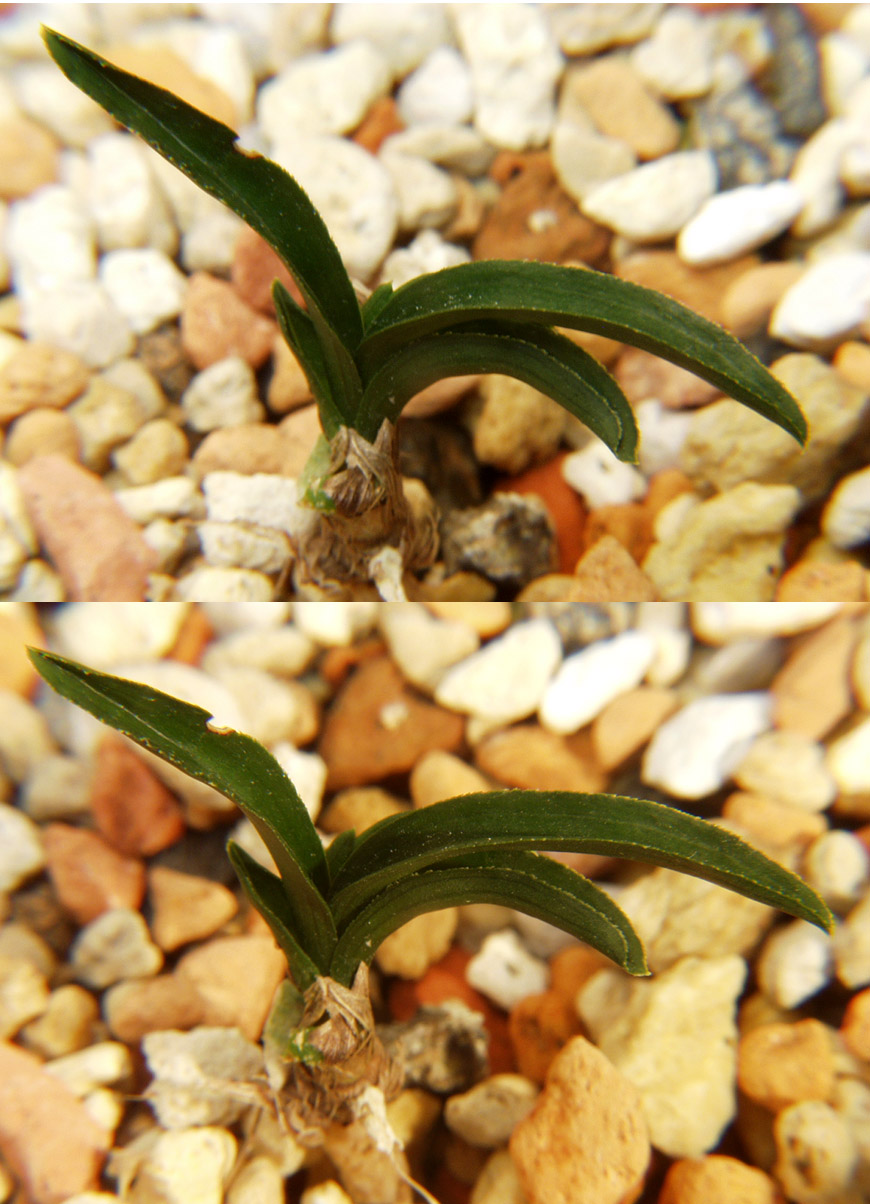 ������ ū������ �� �� �ֽ��ϴ�.