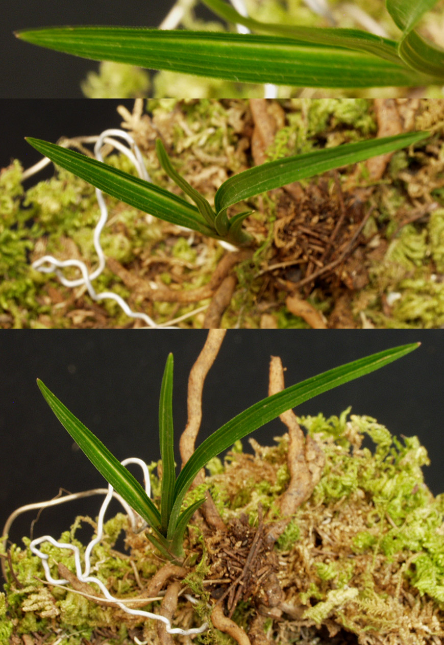 ������ ū������ �� �� �ֽ��ϴ�.