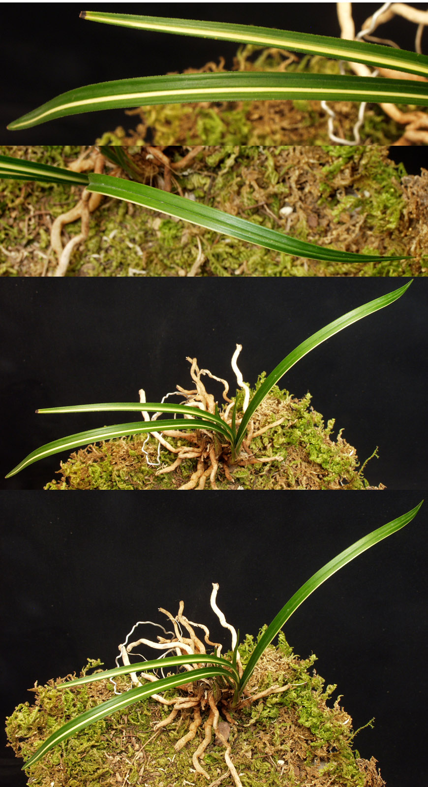 ������ ū������ �� �� �ֽ��ϴ�.