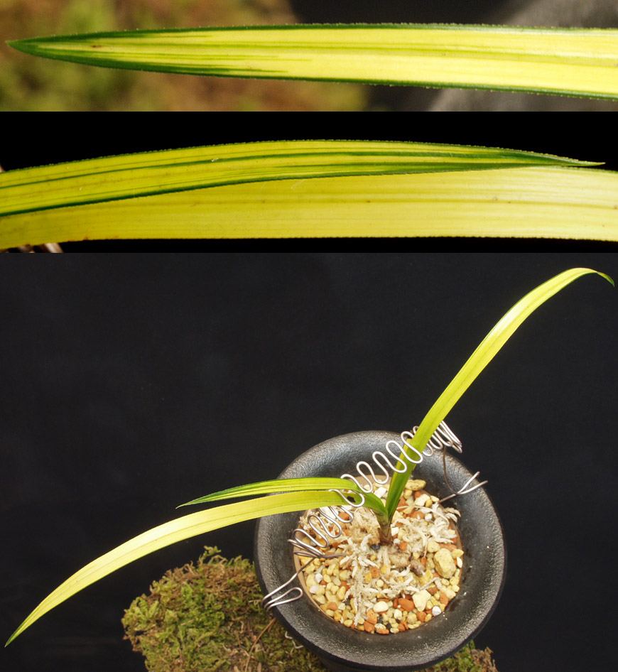 ������ ū������ �� �� �ֽ��ϴ�.