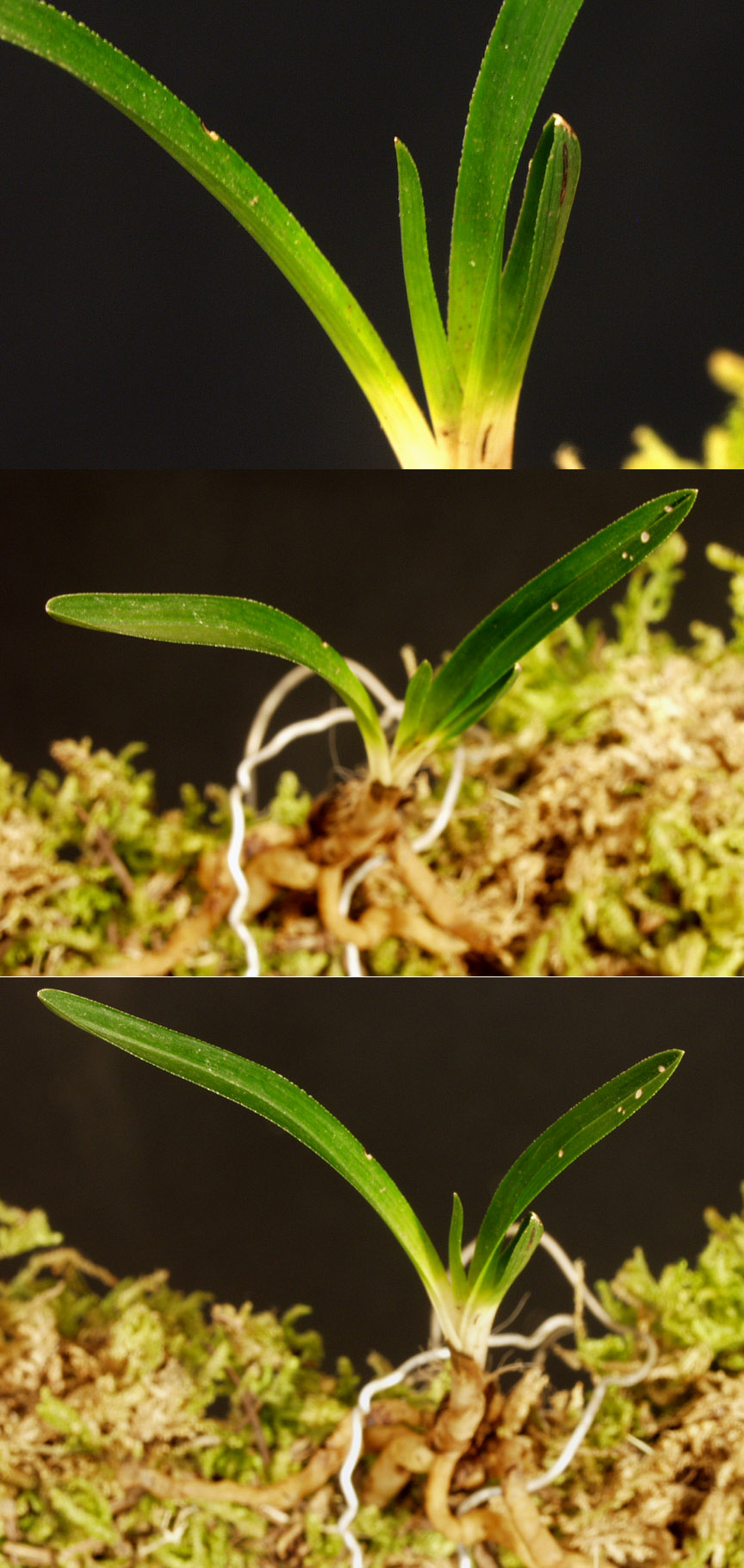 ������ ū������ �� �� �ֽ��ϴ�.