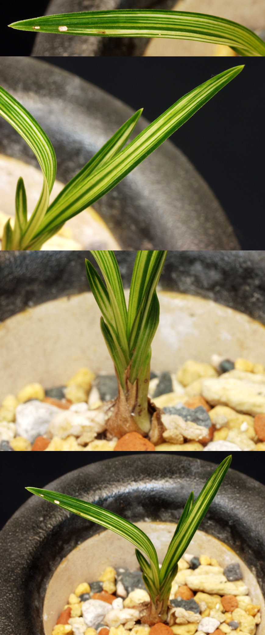 ������ ū������ �� �� �ֽ��ϴ�.