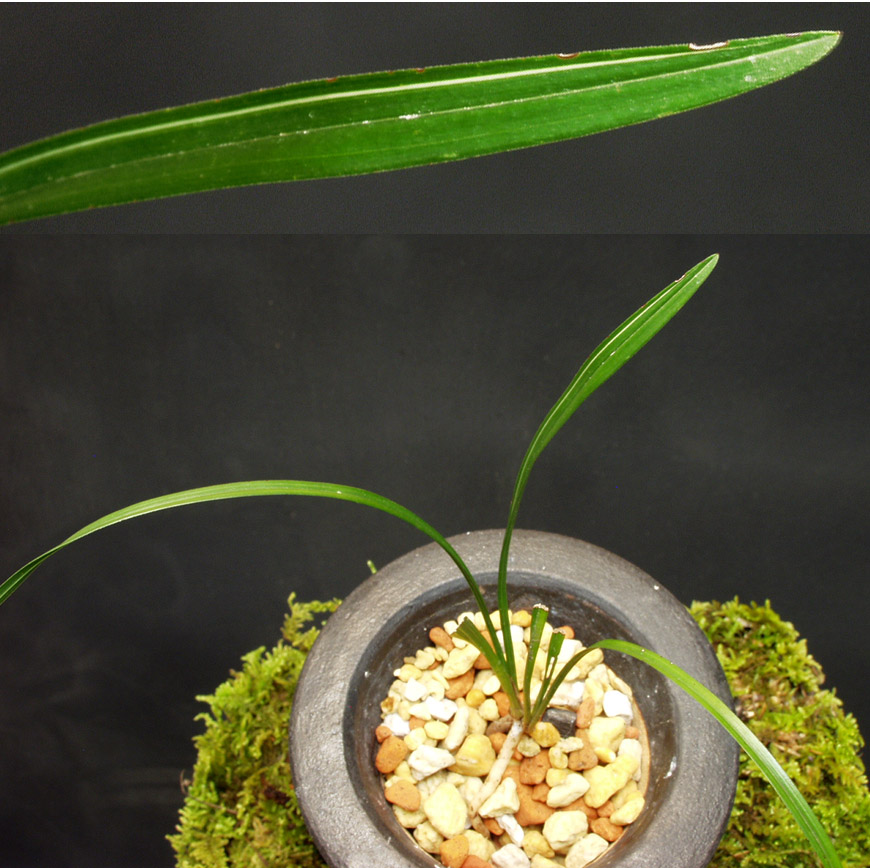 ������ ū������ �� �� �ֽ��ϴ�.