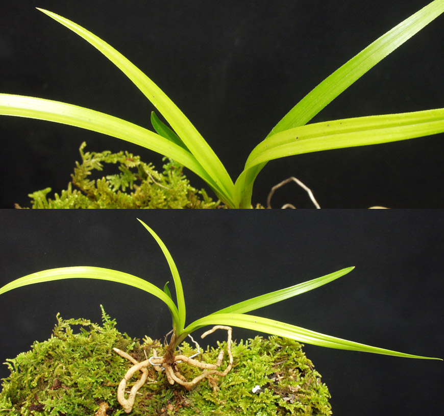 ������ ū������ �� �� �ֽ��ϴ�.