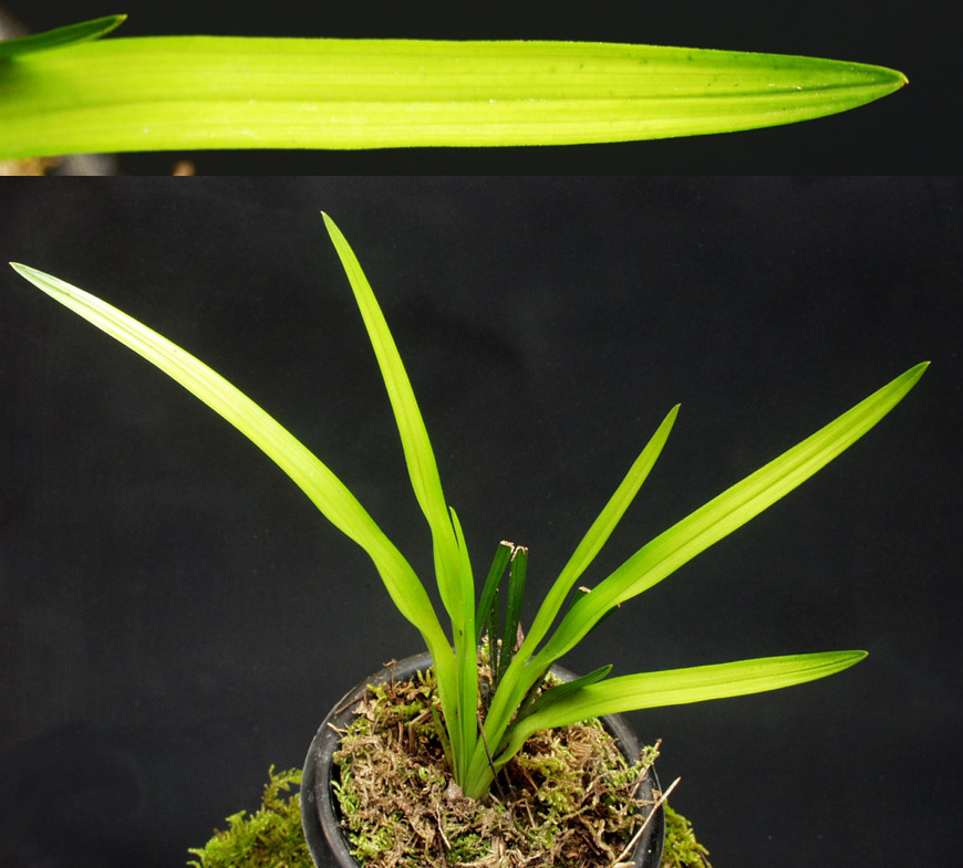 ������ ū������ �� �� �ֽ��ϴ�.