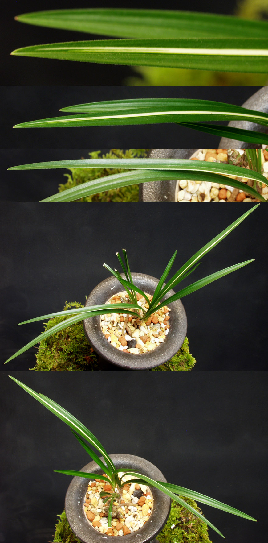 ������ ū������ �� �� �ֽ��ϴ�.