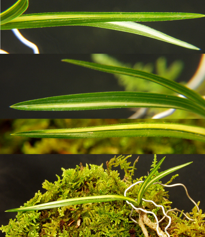 ������ ū������ �� �� �ֽ��ϴ�.