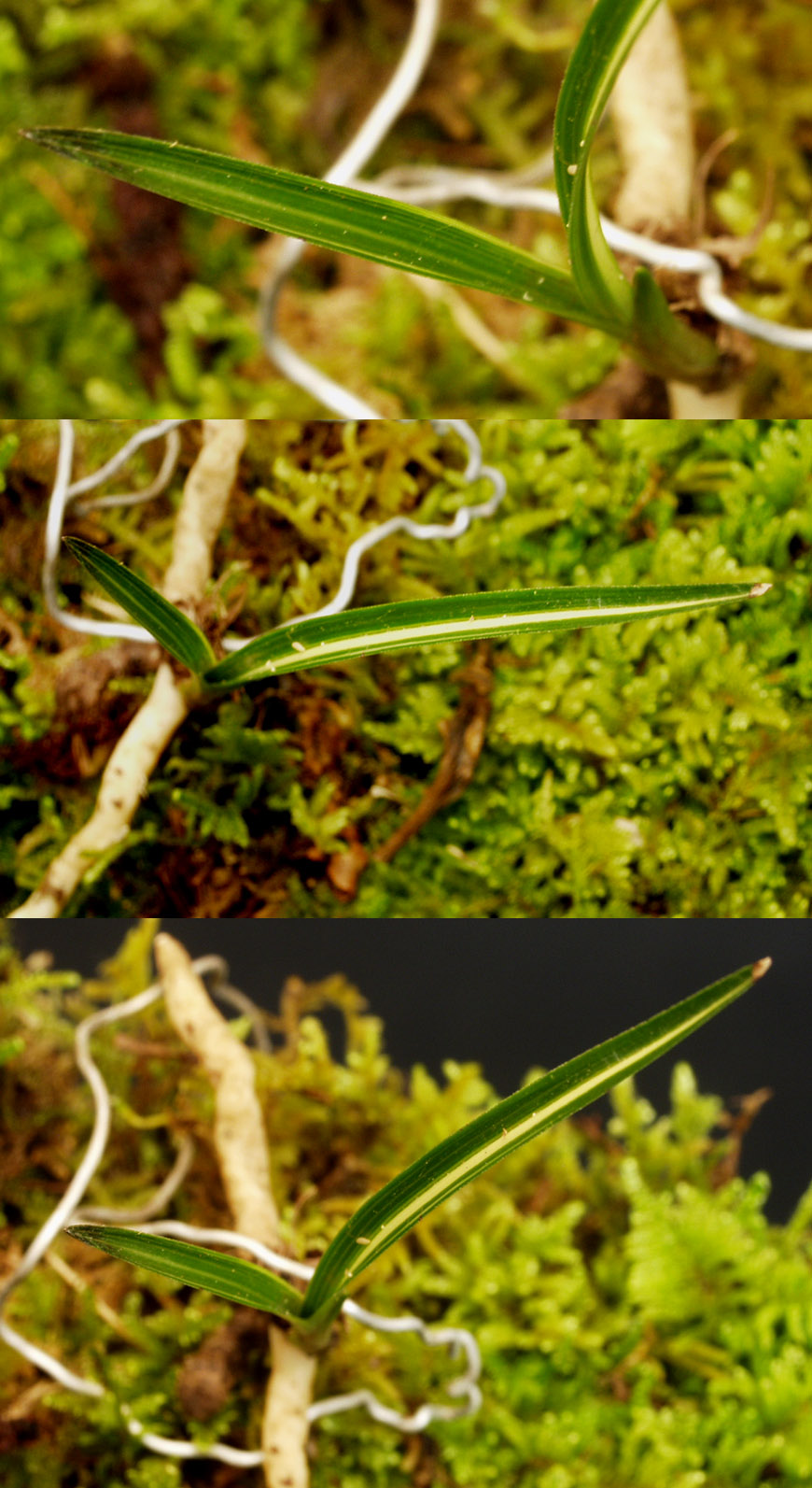 ������ ū������ �� �� �ֽ��ϴ�.