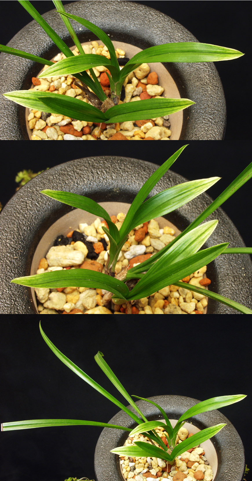 ������ ū������ �� �� �ֽ��ϴ�.