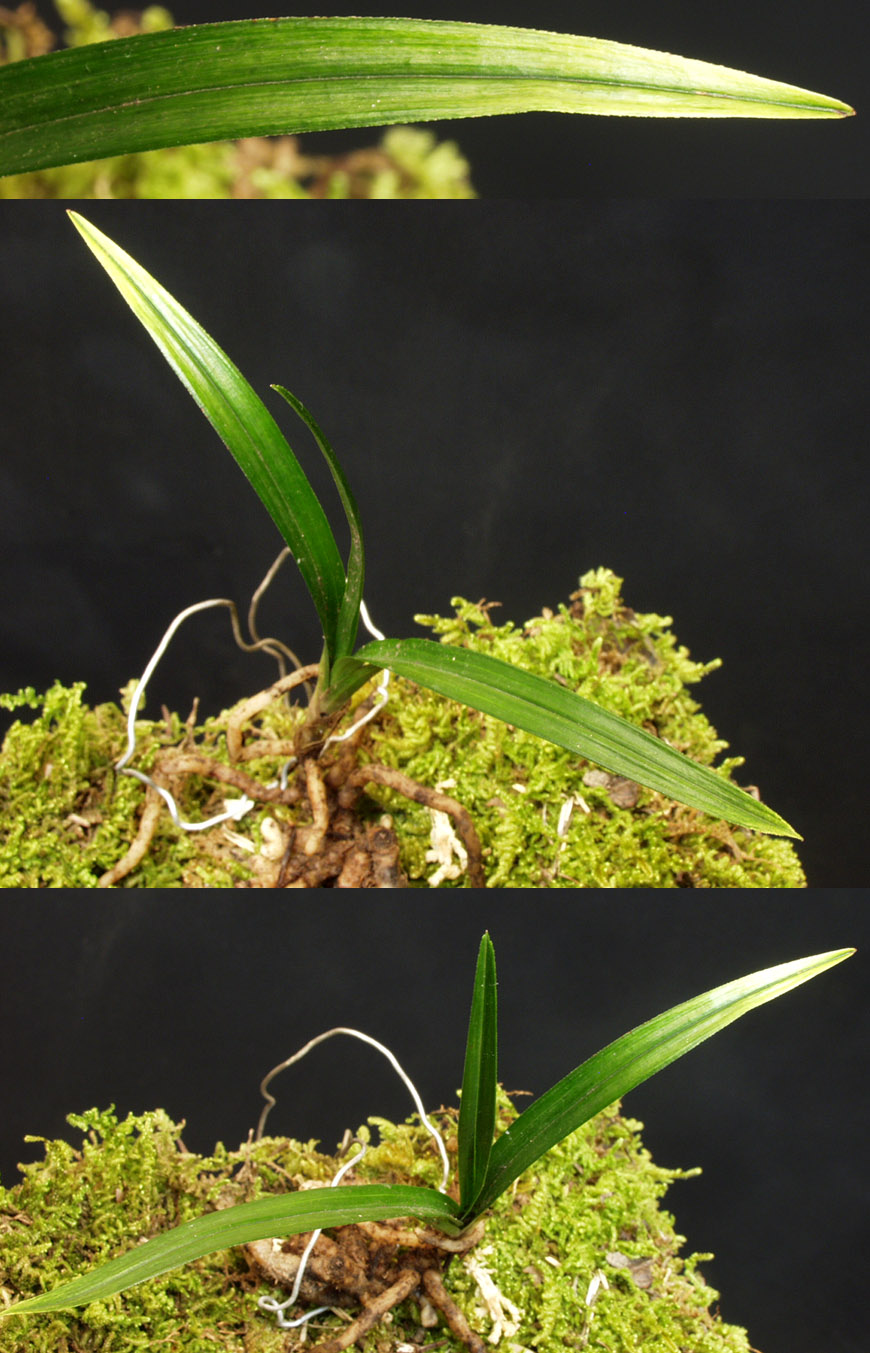 ������ ū������ �� �� �ֽ��ϴ�.