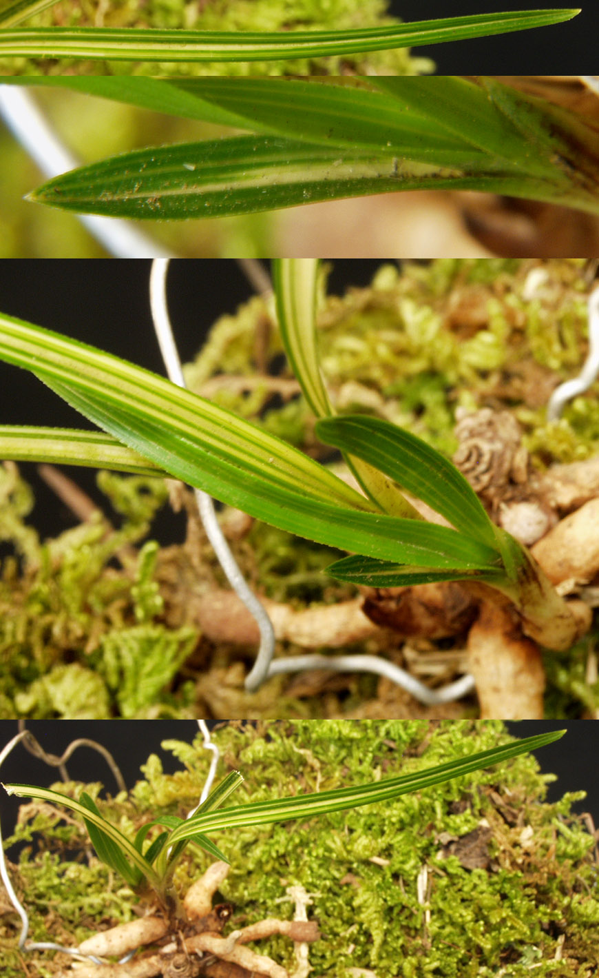 ������ ū������ �� �� �ֽ��ϴ�.