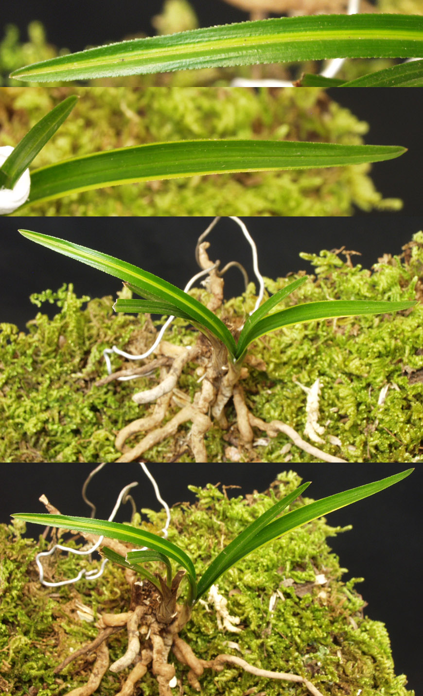 ������ ū������ �� �� �ֽ��ϴ�.