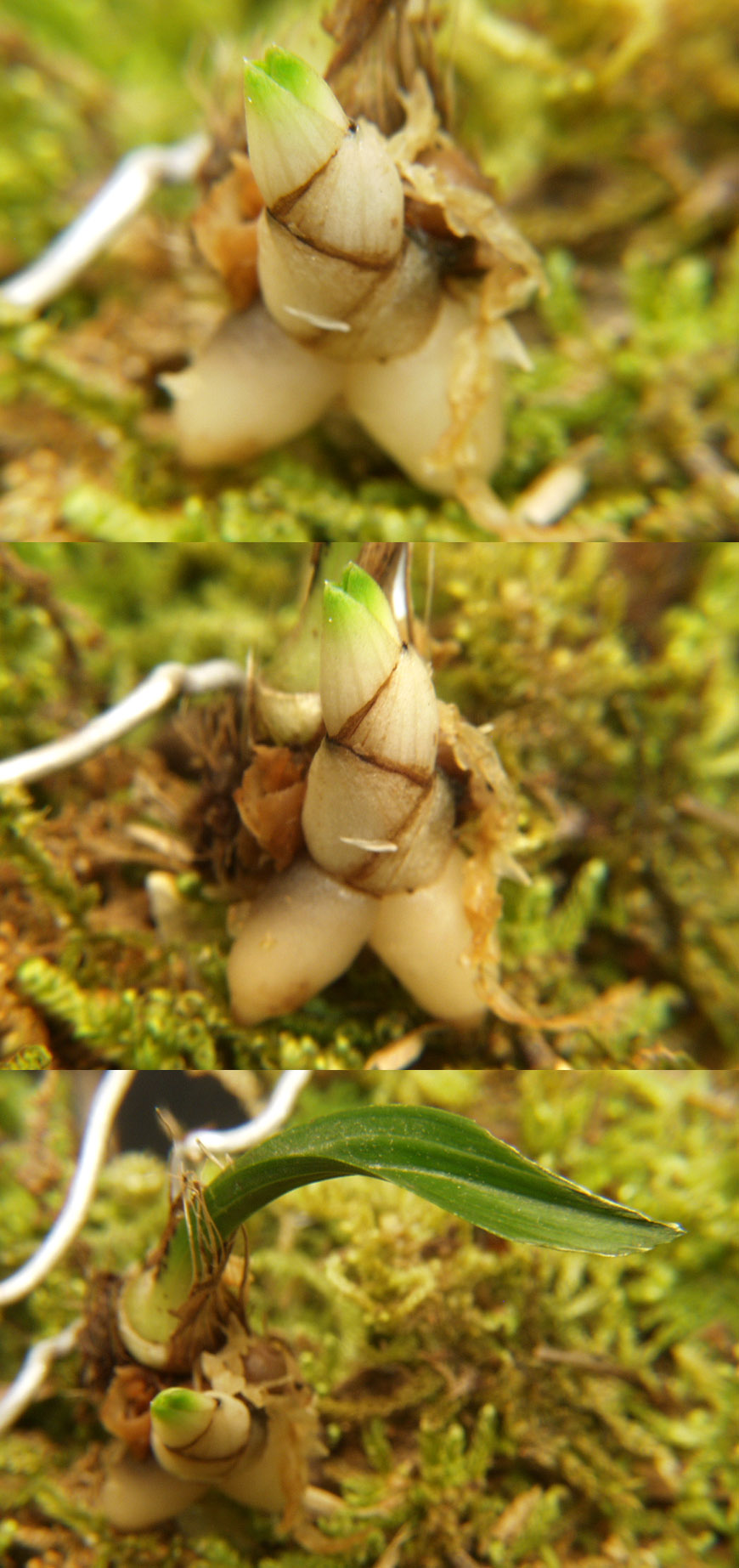 ������ ū������ �� �� �ֽ��ϴ�.