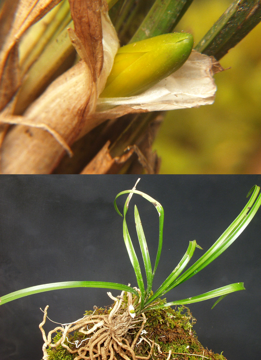 ������ ū������ �� �� �ֽ��ϴ�.