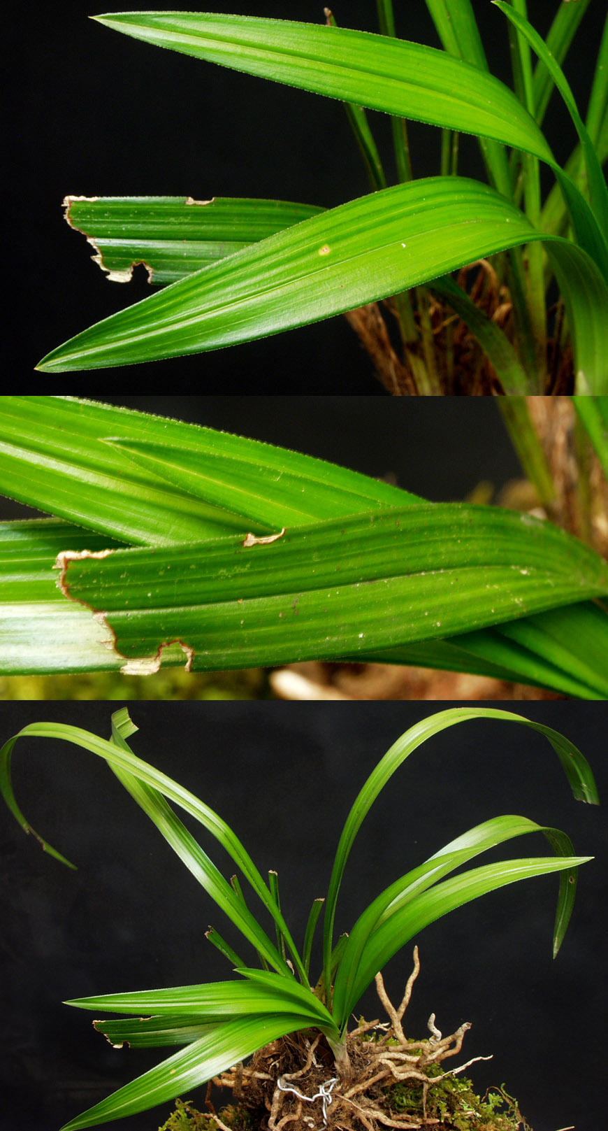 ������ ū������ �� �� �ֽ��ϴ�.