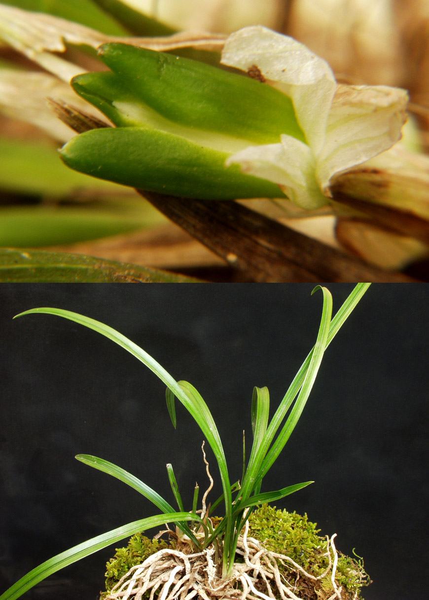 ������ ū������ �� �� �ֽ��ϴ�.