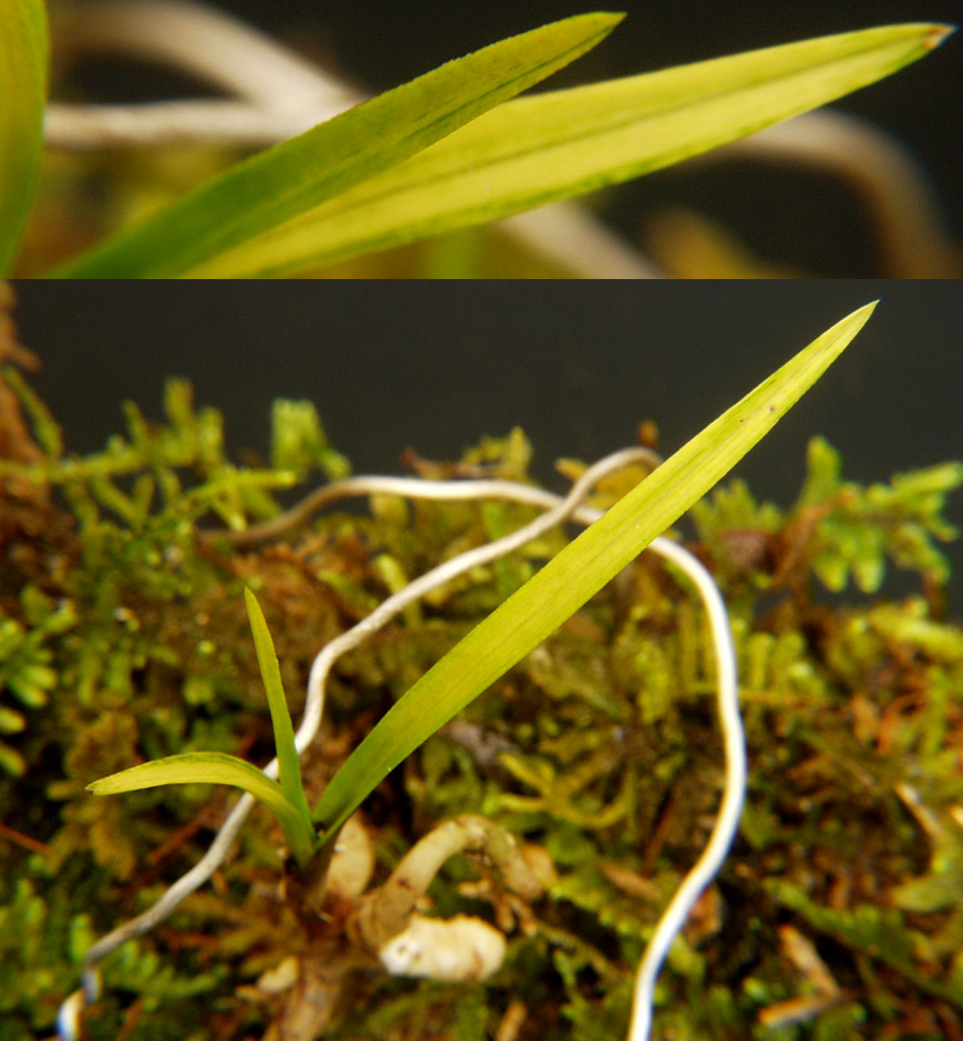 ������ ū������ �� �� �ֽ��ϴ�.