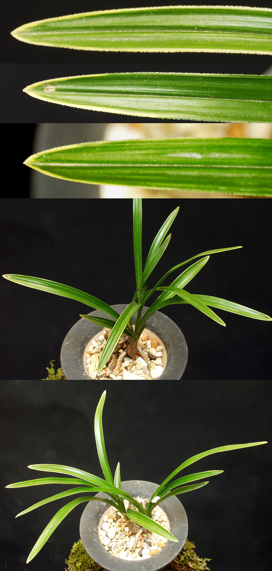 ������ ū������ �� �� �ֽ��ϴ�.