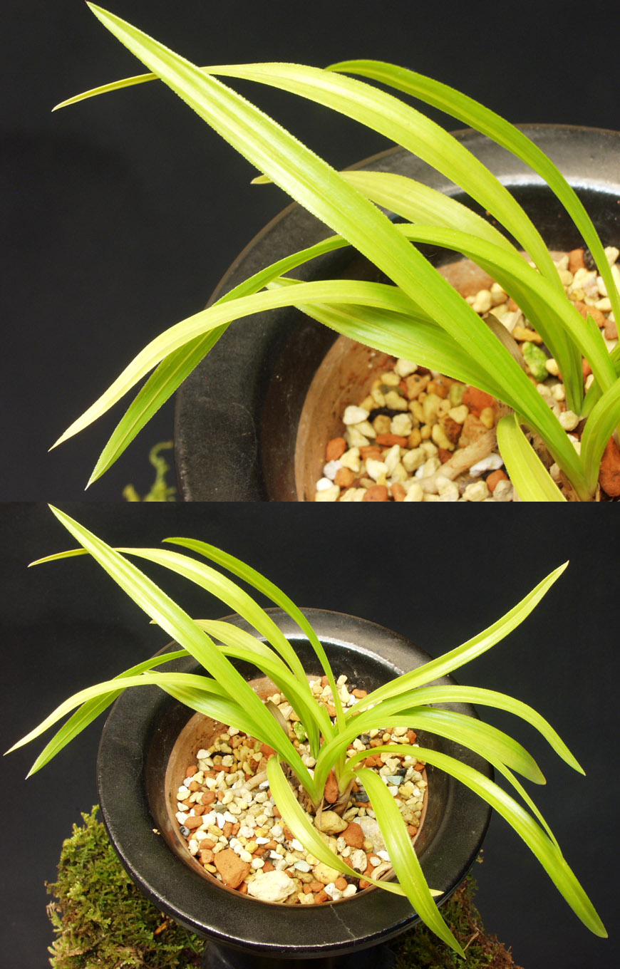 ������ ū������ �� �� �ֽ��ϴ�.