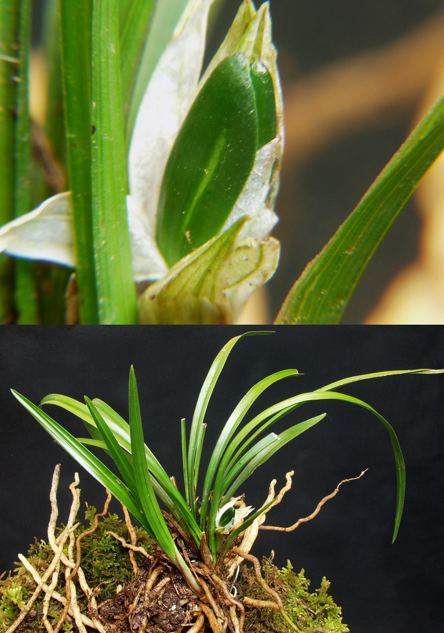 ������ ū������ �� �� �ֽ��ϴ�.