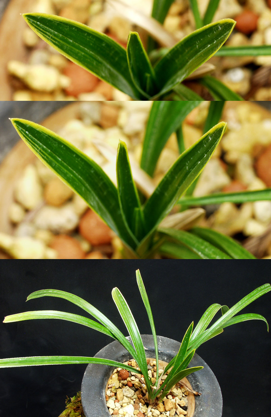 ������ ū������ �� �� �ֽ��ϴ�.