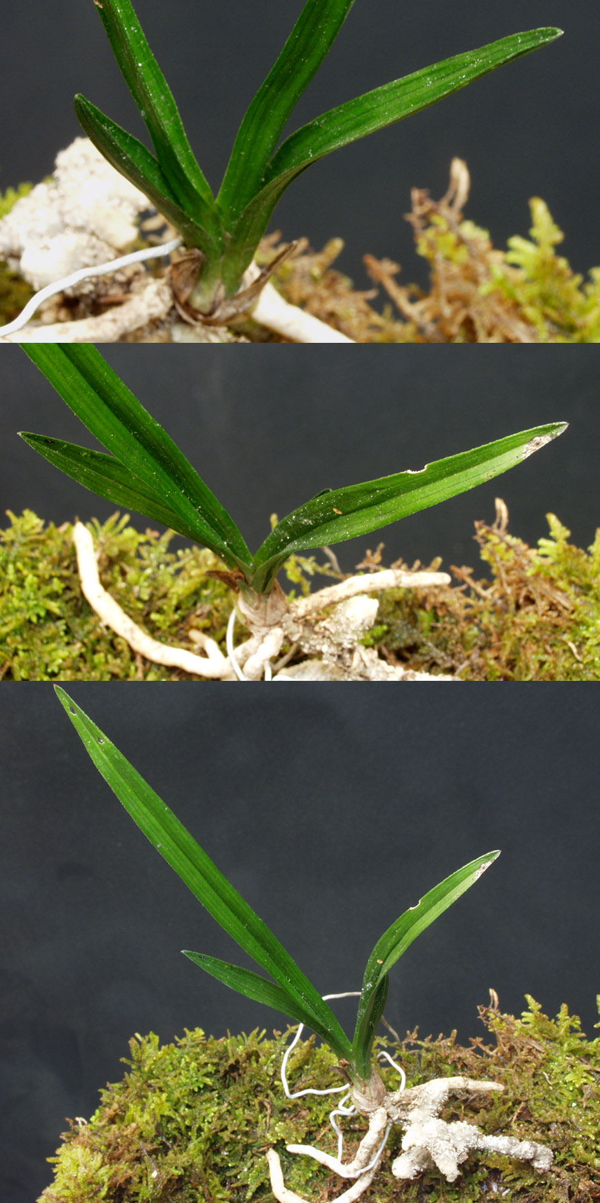 ������ ū������ �� �� �ֽ��ϴ�.