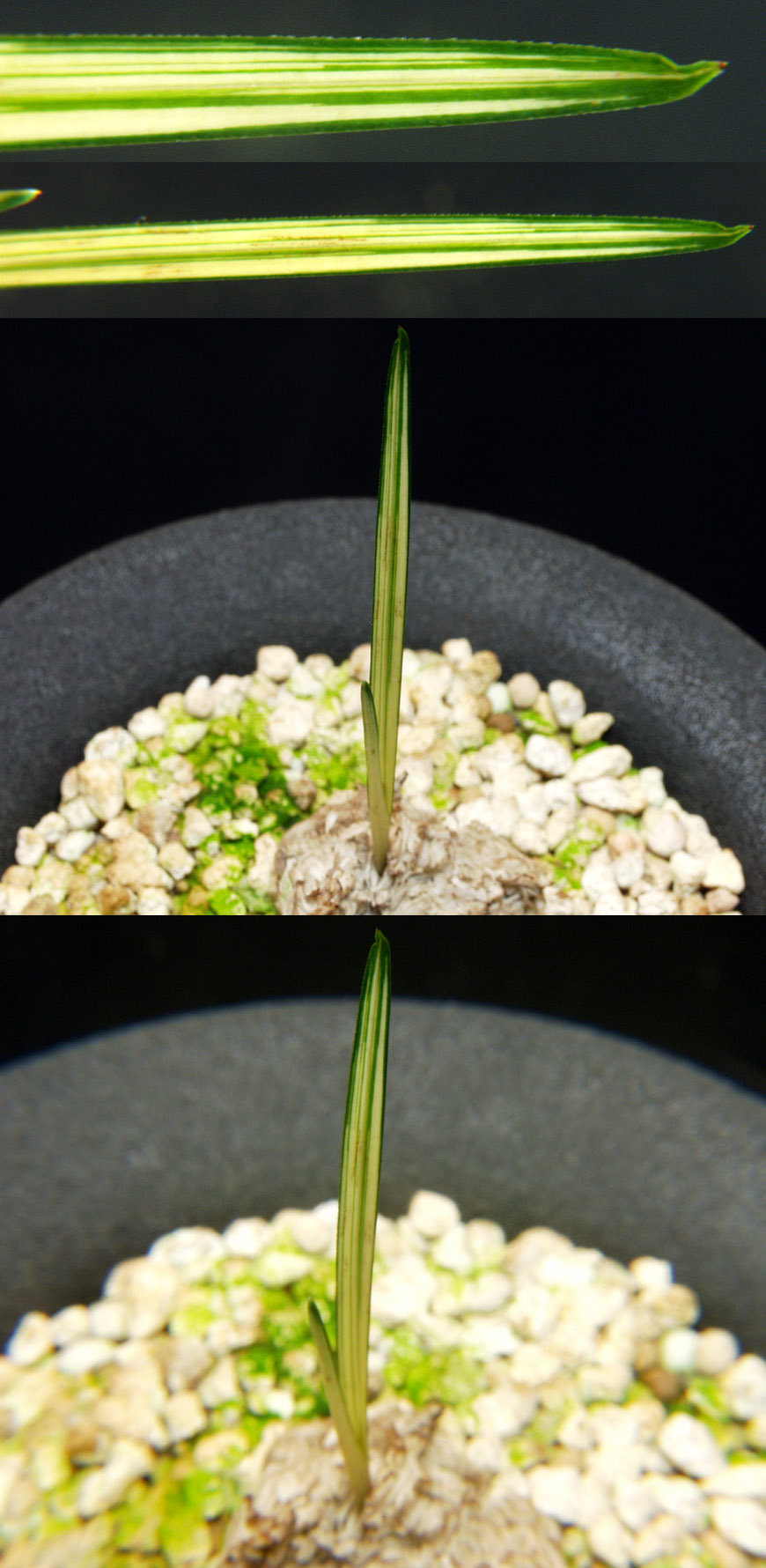 ������ ū������ �� �� �ֽ��ϴ�.