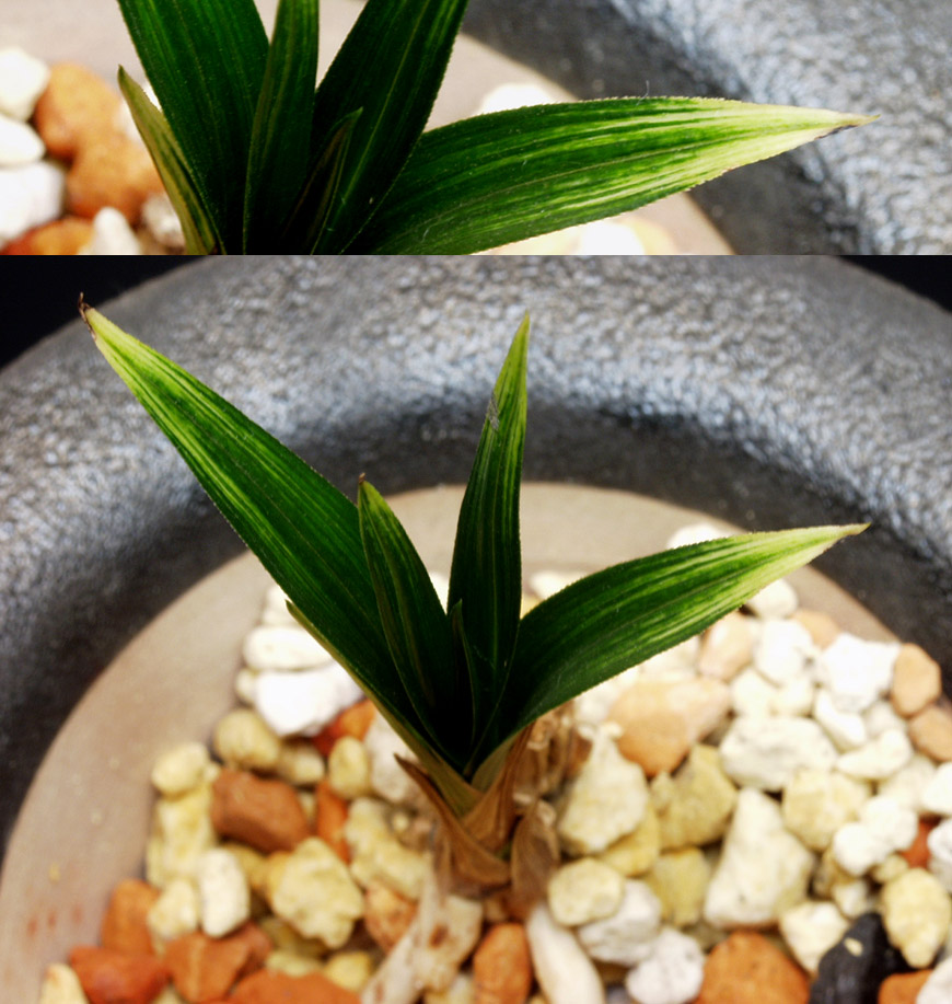 ������ ū������ �� �� �ֽ��ϴ�.