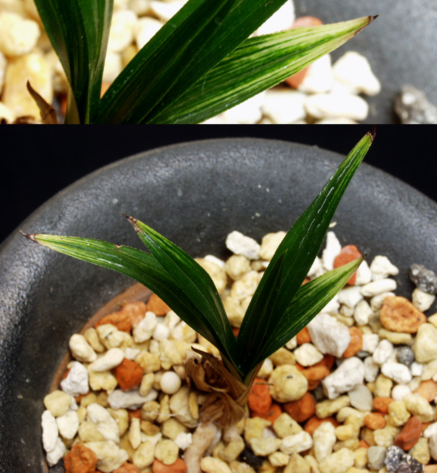 ������ ū������ �� �� �ֽ��ϴ�.