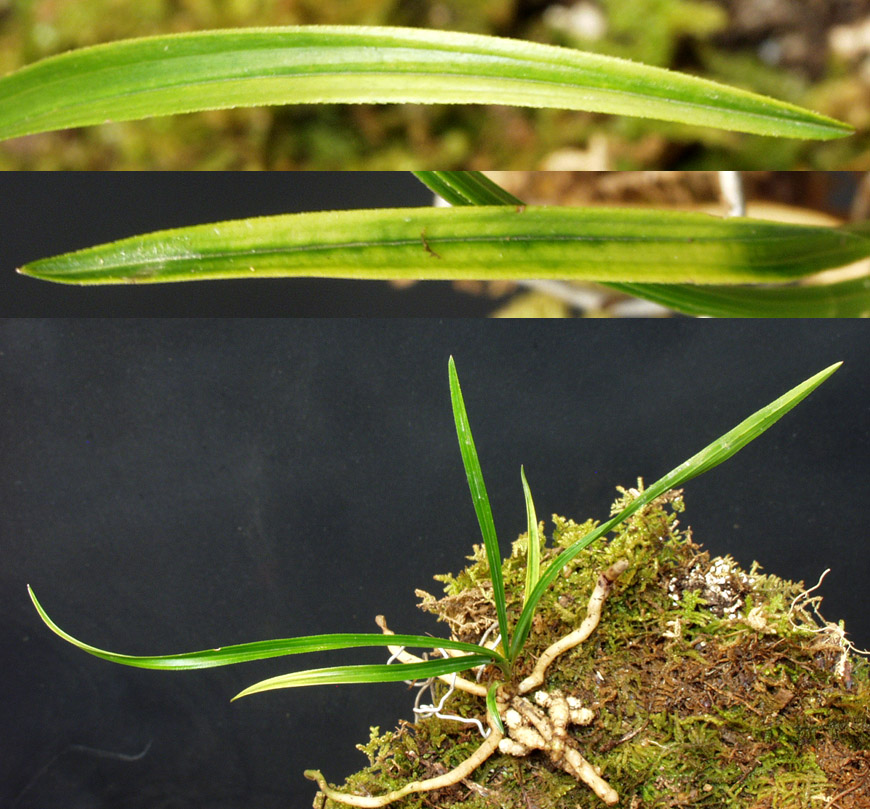 ������ ū������ �� �� �ֽ��ϴ�.