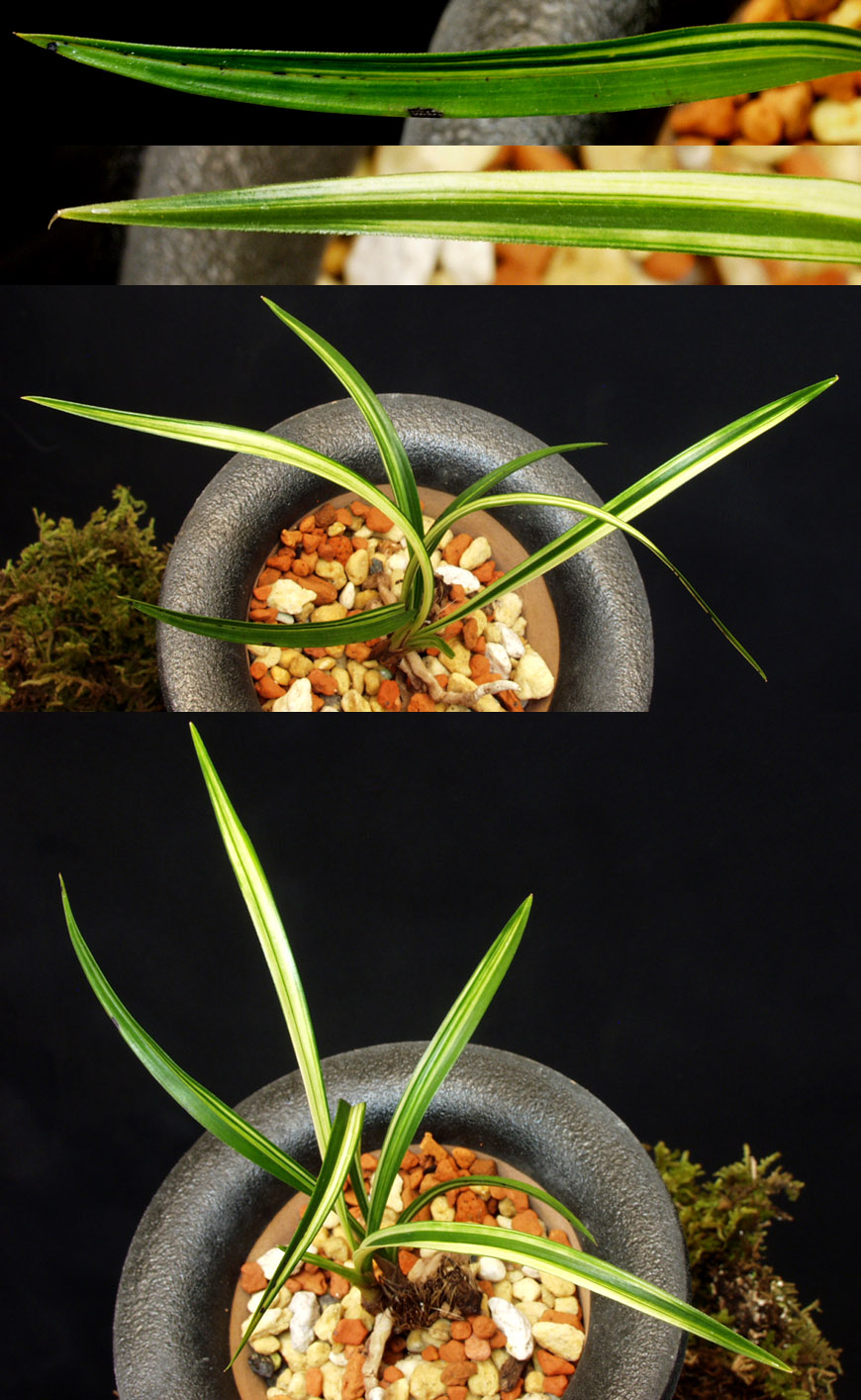 ������ ū������ �� �� �ֽ��ϴ�.