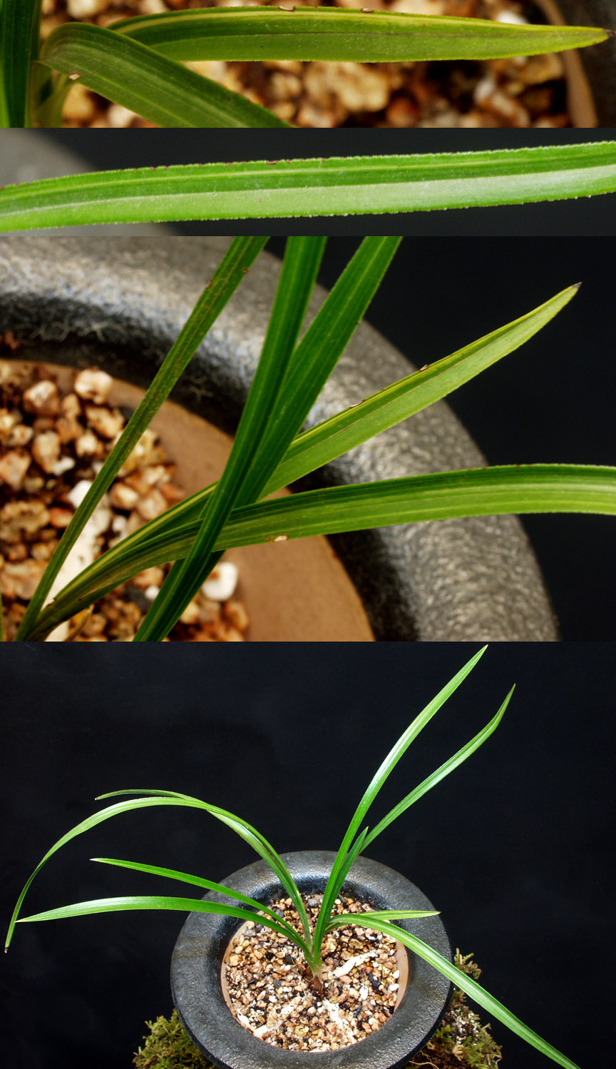 ������ ū������ �� �� �ֽ��ϴ�.