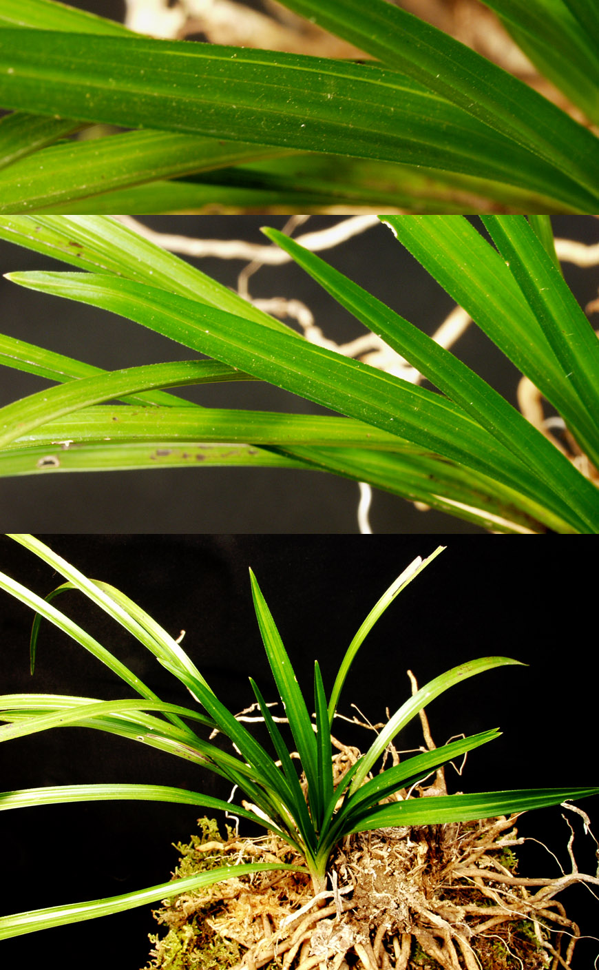 ������ ū������ �� �� �ֽ��ϴ�.