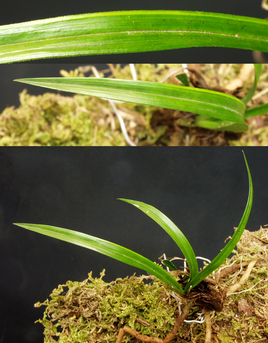 ������ ū������ �� �� �ֽ��ϴ�.