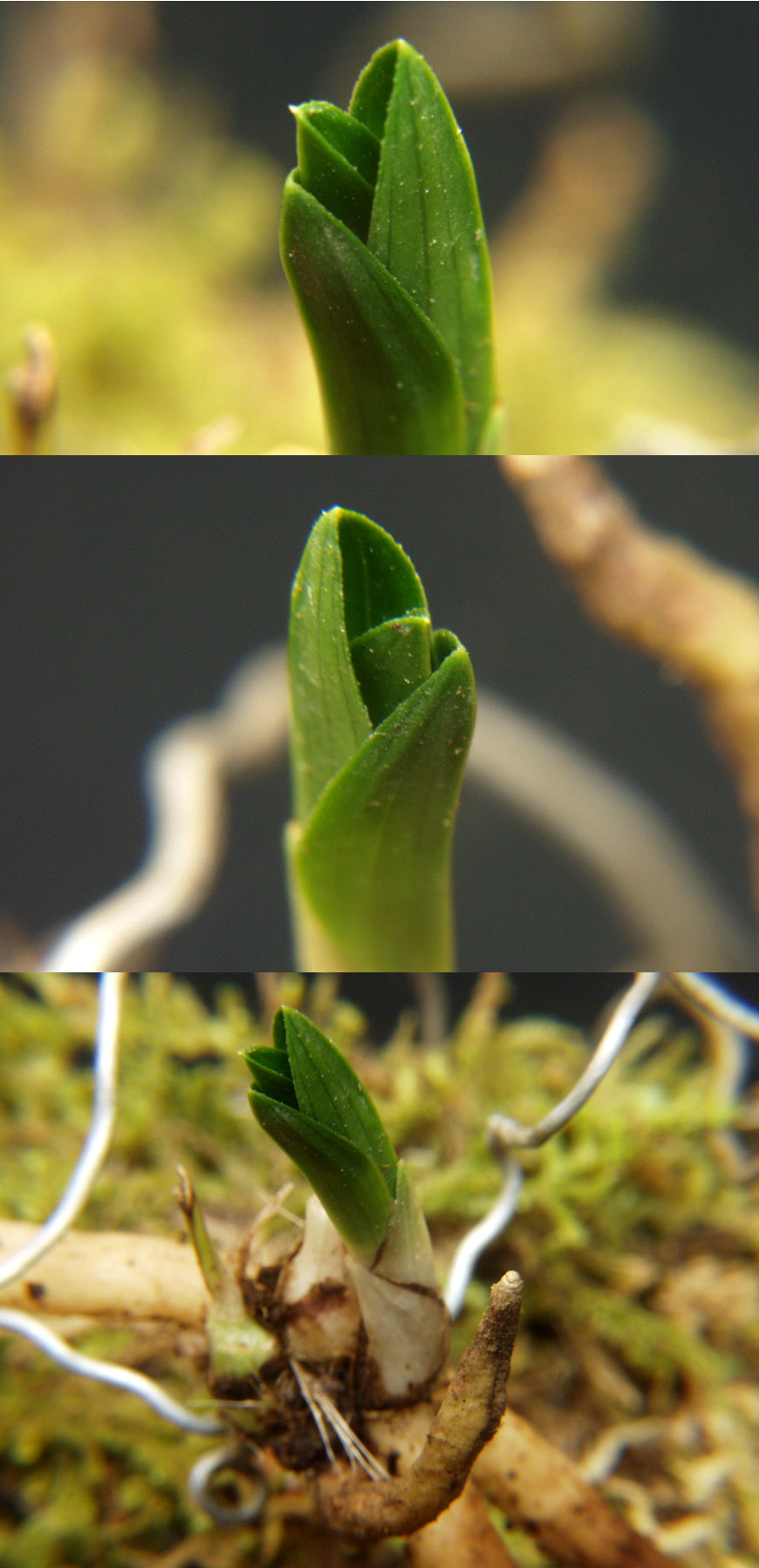 ������ ū������ �� �� �ֽ��ϴ�.