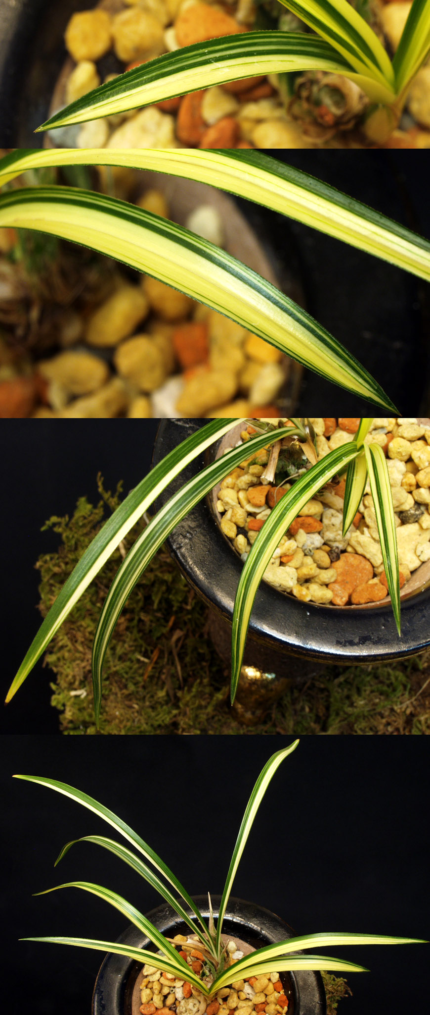 ������ ū������ �� �� �ֽ��ϴ�.